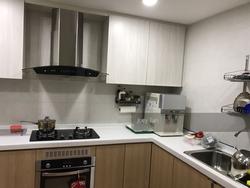 Palm Gardens (D23), Condominium #138635522